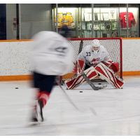 Goaltender Ty Young