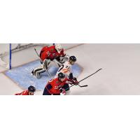 South Carolina Stingrays goaltender goaltender Jake Kupsky vs. the Greenville Swamp Rabbits