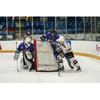 Odessa Jackalopes test the Shreveport Mudbugs net