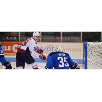 South Carolina Stingrays forward Cameron Askew vs. the Jacksonville Icemen