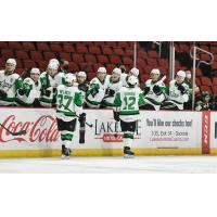 Texas Stars celebrate along the bench