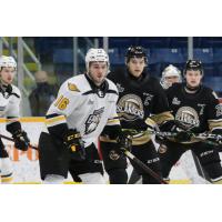 Charlottetown Islanders vs. the Cape Breton Eagles