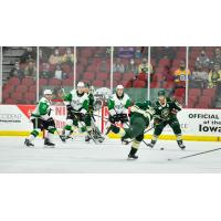 Texas Stars face the Iowa Wild