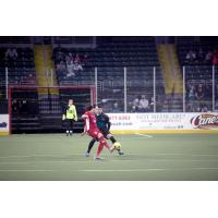 St. Louis Ambush vs. the Ontario Fury