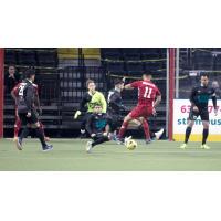 St. Louis Ambush vs. the Ontario Fury