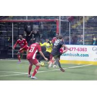 St. Louis Ambush vs. the Ontario Fury