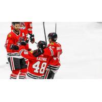 Rockford IceHogs celebrate a goal in the season opener