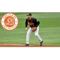 Long Island Ducks infielder Steve Lombardozzi