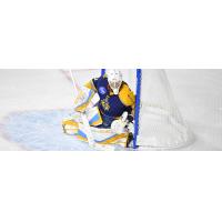 Goaltender Sean Bonar with the Atlanta Gladiators