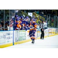 Orlando Solar Bears exchange congratulations along the bench