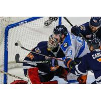 Greenville Swamp Rabbits try to keep the Jacksonville Icemen at bay
