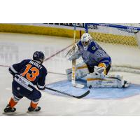 Matt Bradley of the Greenville Swamp Rabbits scores against the Jacksonville Icemen