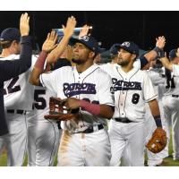 Somerset Patriots exchange high fives