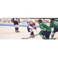 South Carolina Stingrays forward Max Novak shoots vs. the Florida Everblades