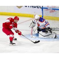 Wichita Thunder goaltender Hayden Lavigne