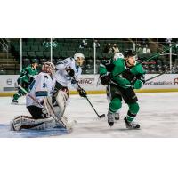 Texas Stars left wing Riley Tufte vs. the San Jose Barracuda