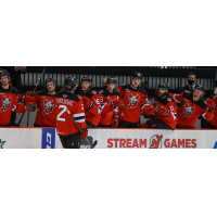 Michael Vukojevic and the Binghamton Devils bench