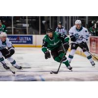 Texas Stars center Riley Damiani vs. the San Jose Barracuda