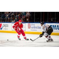 Allen Americans forward Samuel Laberge (left) vs. the Kansas City Mavericks