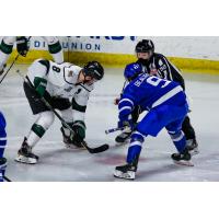 Wichita Thunder face off against the Utah Grizzlies