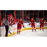 Allen Americans exchange congratulations