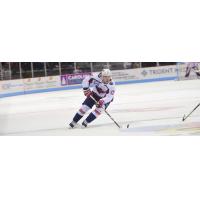 South Carolina Stingrays forward Matthew Weis