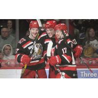 Grand Rapids Griffins celebrate a goal