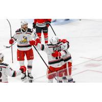 Grand Rapids Griffins celebrate a goal