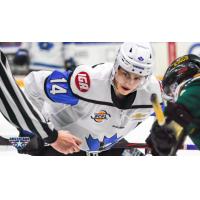Forward Jack Barnes with the Penticton Vees