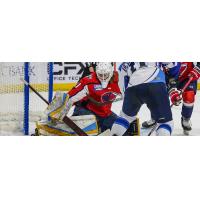 South Carolina Stingrays goaltender Sean Bonar vs. the Jacksonville Icemen