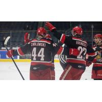 Grand Rapids Griffins celebrate a goal