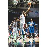 Canton Charge guard Levi Randolph collects a rebound vs. the Westchester Knicks