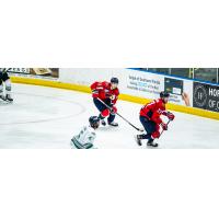 Blake Hillman and Tim Harrison of the South Carolina Stingrays