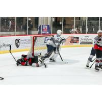 Birmingham Bulls vs. the Pensacola Ice Flyers