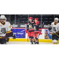 Grand Rapids Griffins pose after a goal against the Chicago Wolves