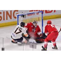 Allen Americans goaltender Justin Kapelmaster stops a shot from the Greenville Swamp Rabbits