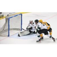 Wheeling Nailers score against the Utah Grizzlies