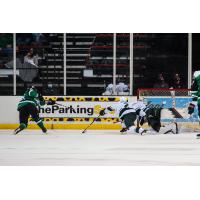 Texas Stars left wing Tye Felhaber takes a shot against the Iowa Wild