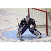 Tri-City Storm goaltender Todd Scott