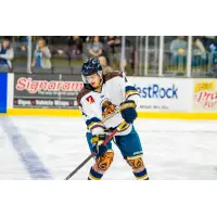 Sioux Falls Stampede in their Fighting Wiener Dogs uniforms