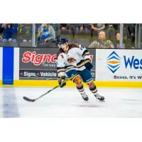 Sioux Falls Stampede in their Fighting Wiener Dogs uniforms