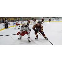 Grand Rapids Griffins right wing Jarid Lukosevicius (left) vs. the Chicago Wolves