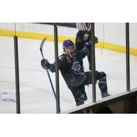Tri-City Storm celebrates a goal