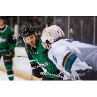 Texas Stars face the San Jose Barracuda