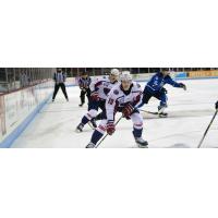 South Carolina Stingrays forward Cameron Askew