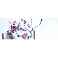 South Carolina Stingrays celebrate a goal