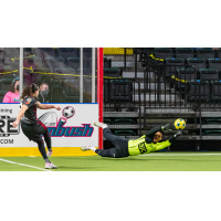 St. Louis Ambush battle the Ontario Fury
