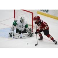 Texas Stars goaltender Tomas Sholl vs. the Tucson Roadrunners