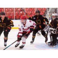 New Jersey Titans forward Zach Nazzarett vs. the Maryland Black Bears