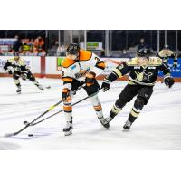 Wheeling Nailers battle the Fort Wayne Komets